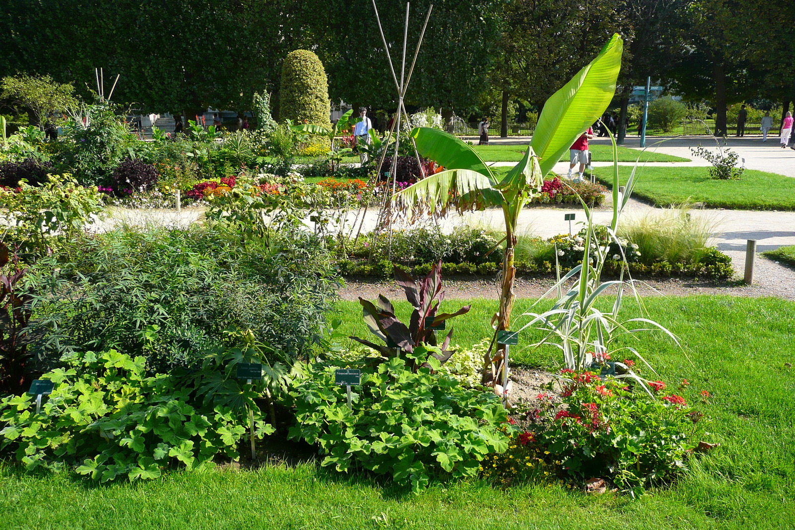 Picture France Paris Jardin des Plantes 2007-08 126 - Sightseeing Jardin des Plantes