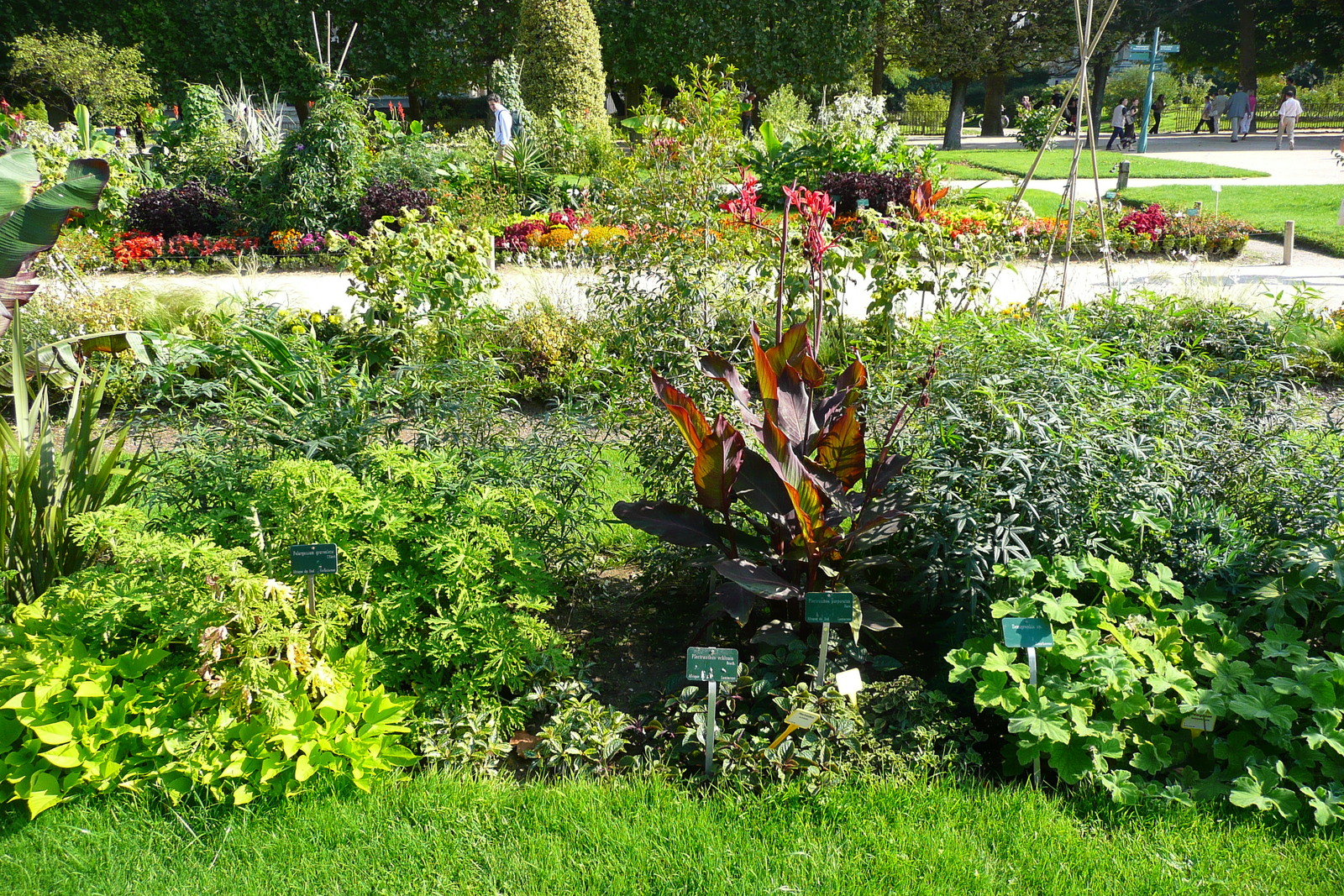 Picture France Paris Jardin des Plantes 2007-08 156 - Photographer Jardin des Plantes