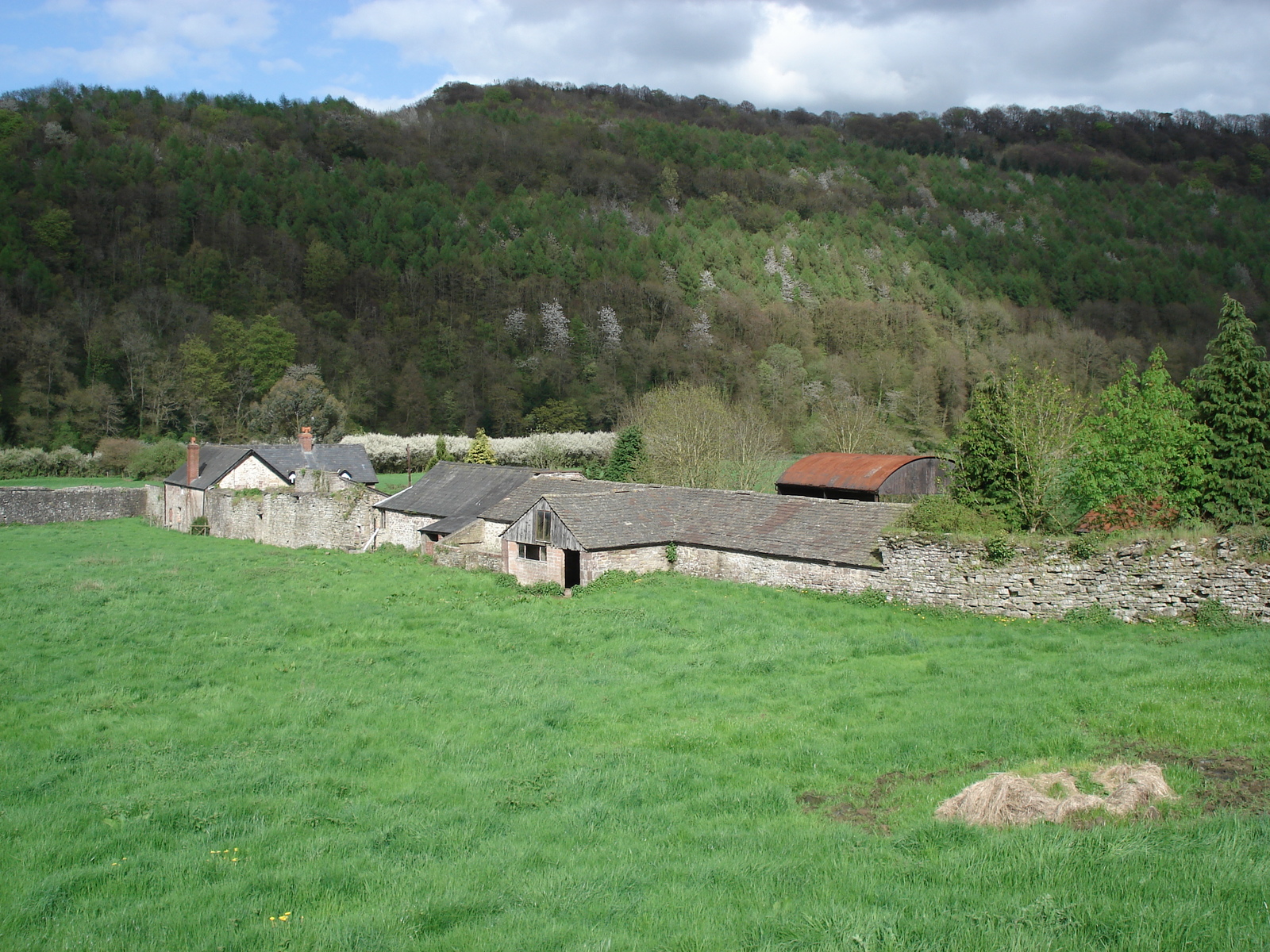 Picture United Kingdom Tintern 2006-05 24 - Photos Tintern