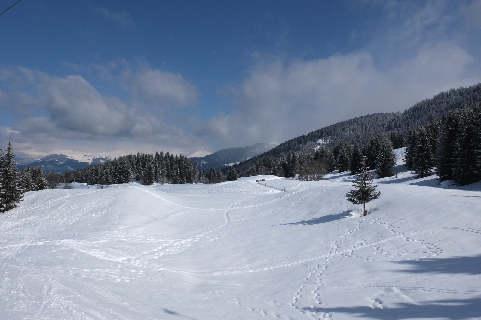 Picture France Les 3 Vallees 2013-03 121 - Sightseeing Les 3 Vallees