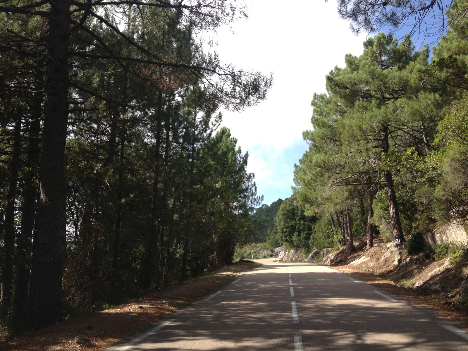 Picture France Corsica L'ospedale Forest 2012-09 66 - Road Map L'ospedale Forest