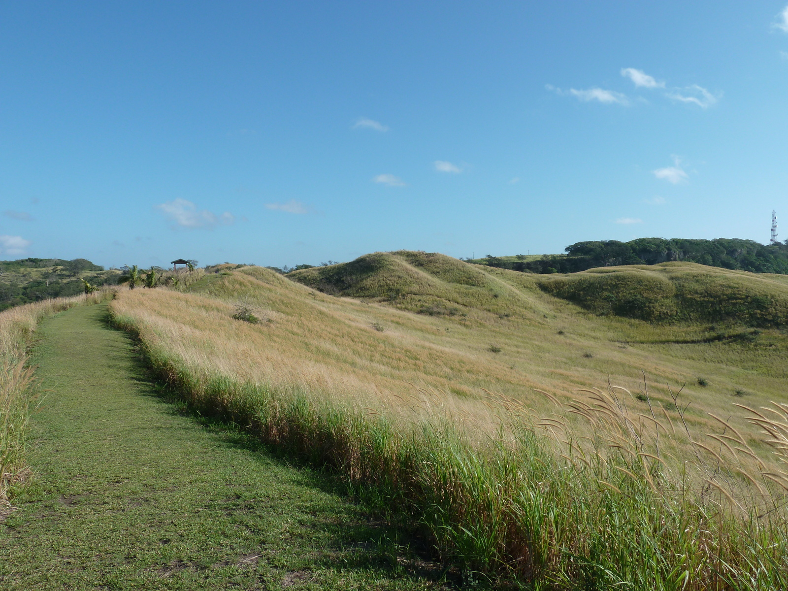 Picture Fiji Sigatoka sand dunes national park 2010-05 25 - Travels Sigatoka sand dunes national park