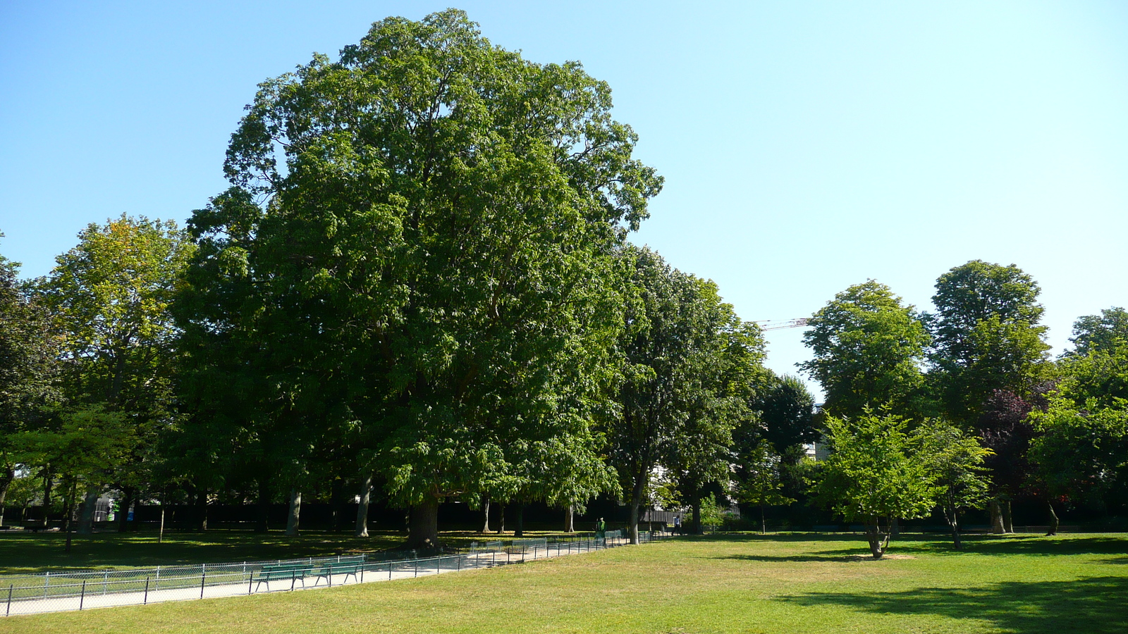 Picture France Paris Jardins du Ranelagh 2007-08 15 - Perspective Jardins du Ranelagh