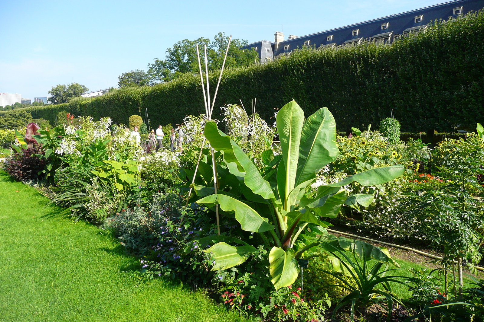 Picture France Paris Jardin des Plantes 2007-08 229 - Trips Jardin des Plantes