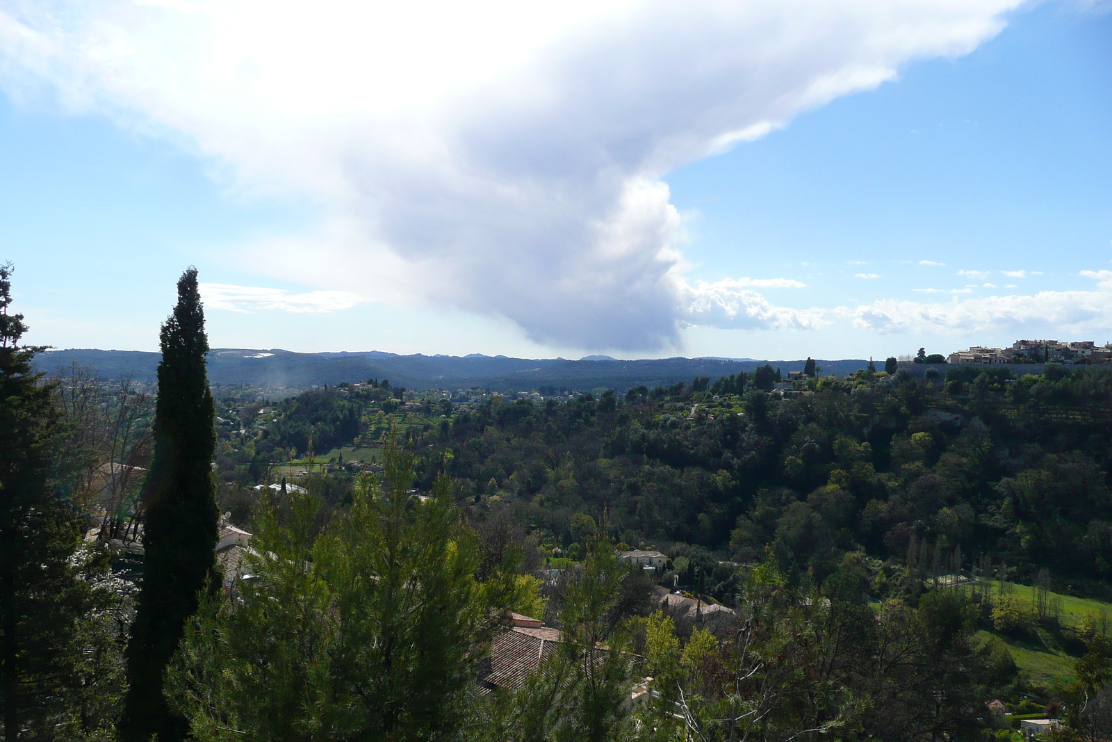 Picture France French Riviera Vence to Cagnes road 2008-03 25 - Pictures Vence to Cagnes road