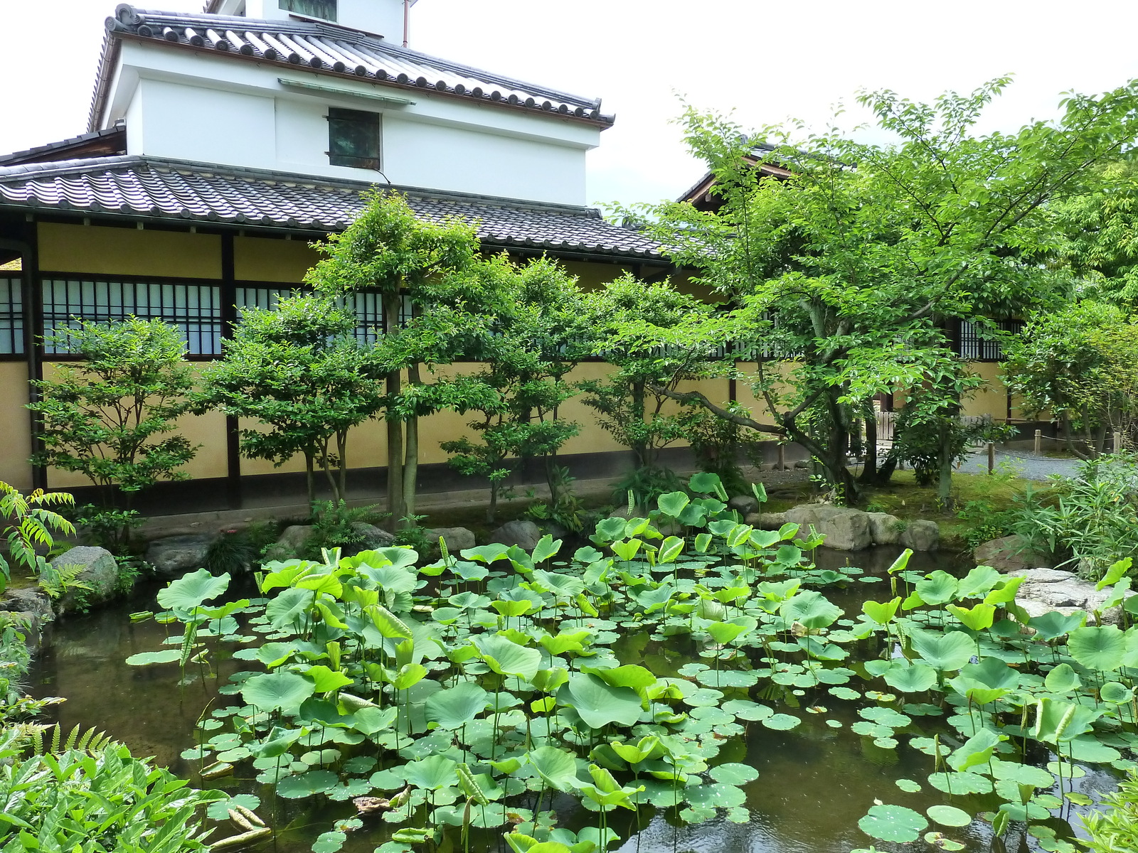 Picture Japan Kyoto Shosei en Garden 2010-06 11 - View Shosei en Garden