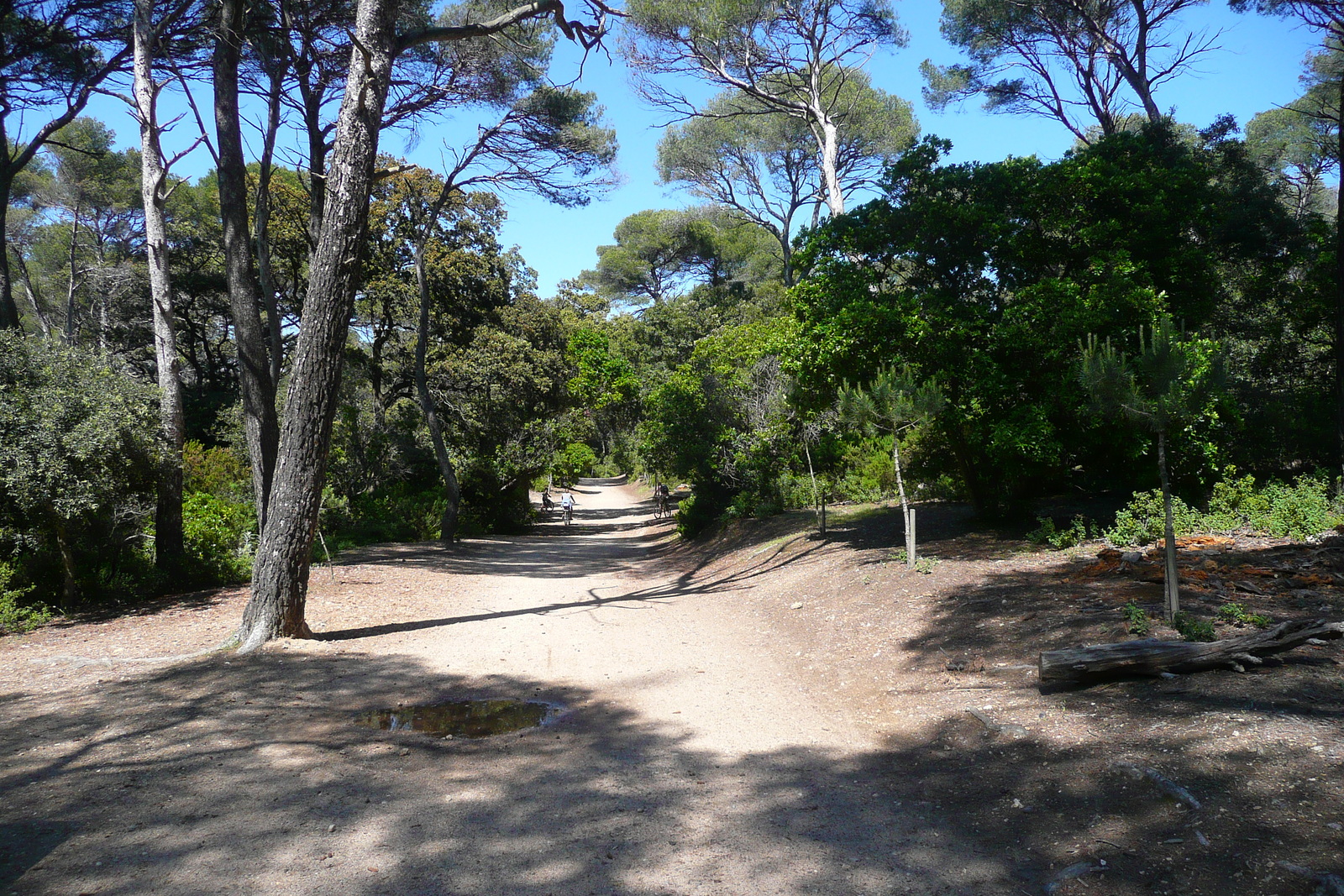 Picture France Porquerolles Island Pointe du Lequin 2008-05 1 - Photographer Pointe du Lequin