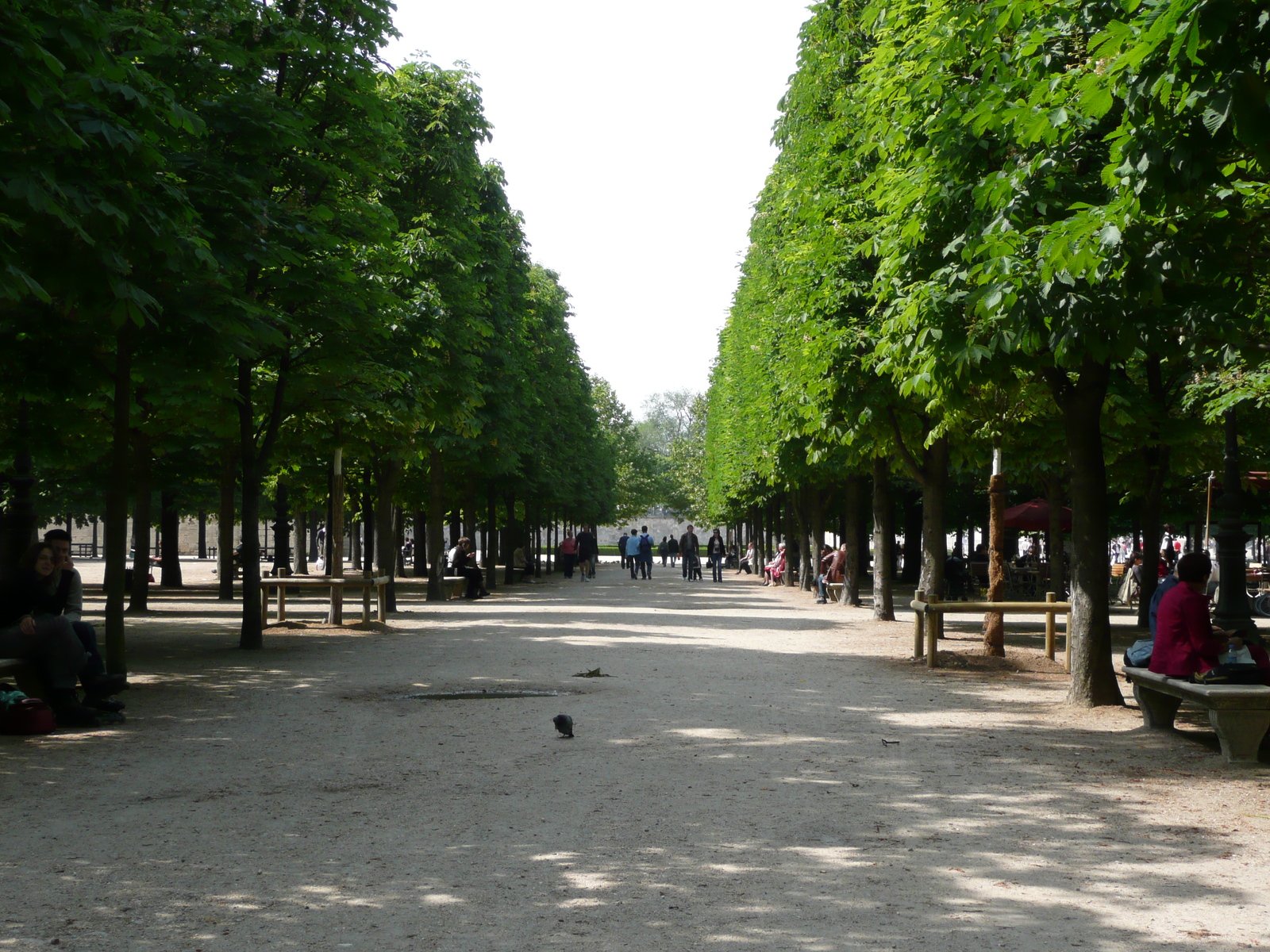 Picture France Paris Garden of Tuileries 2007-05 380 - Trail Garden of Tuileries