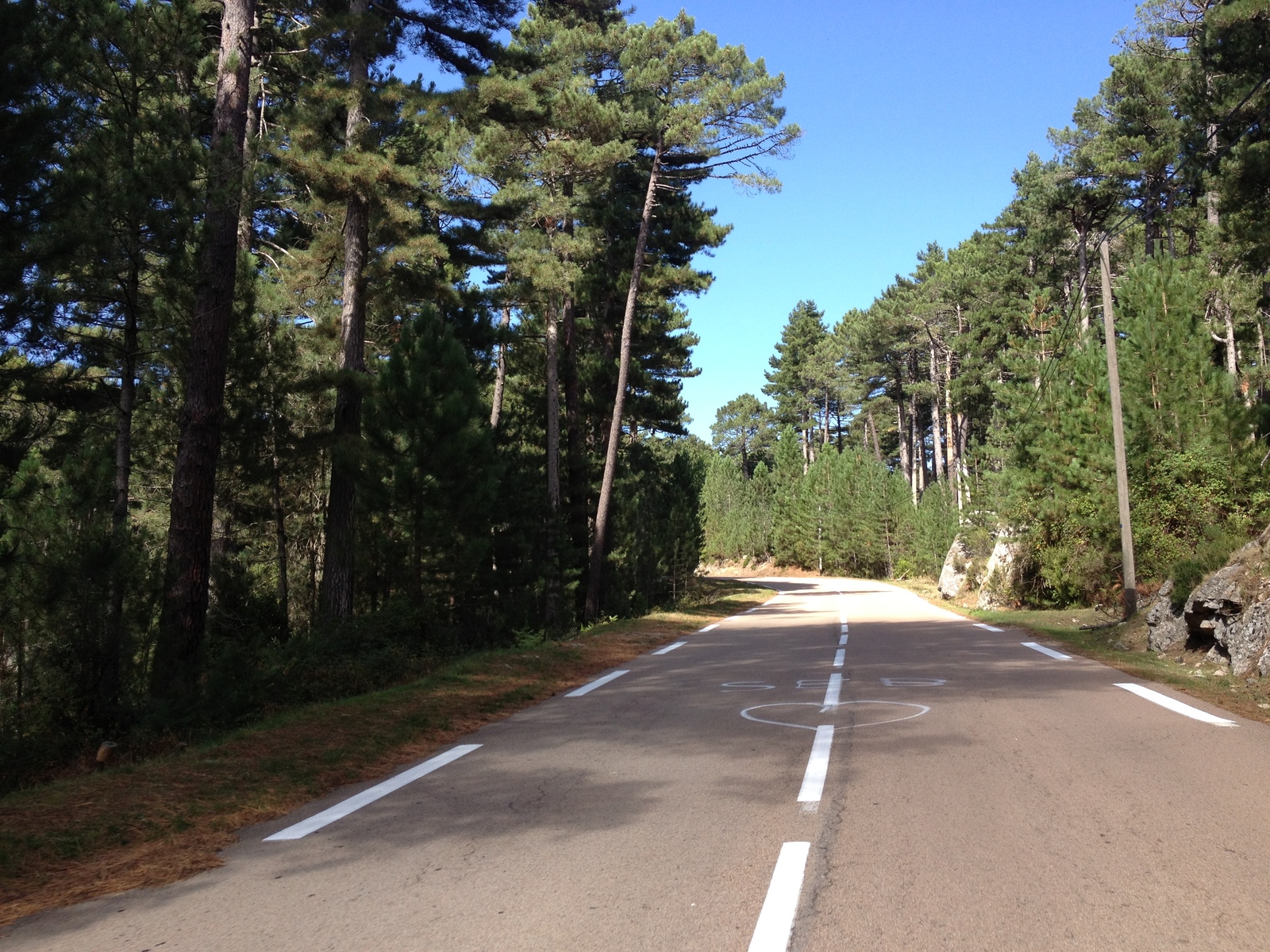 Picture France Corsica L'ospedale Forest 2012-09 41 - Road L'ospedale Forest