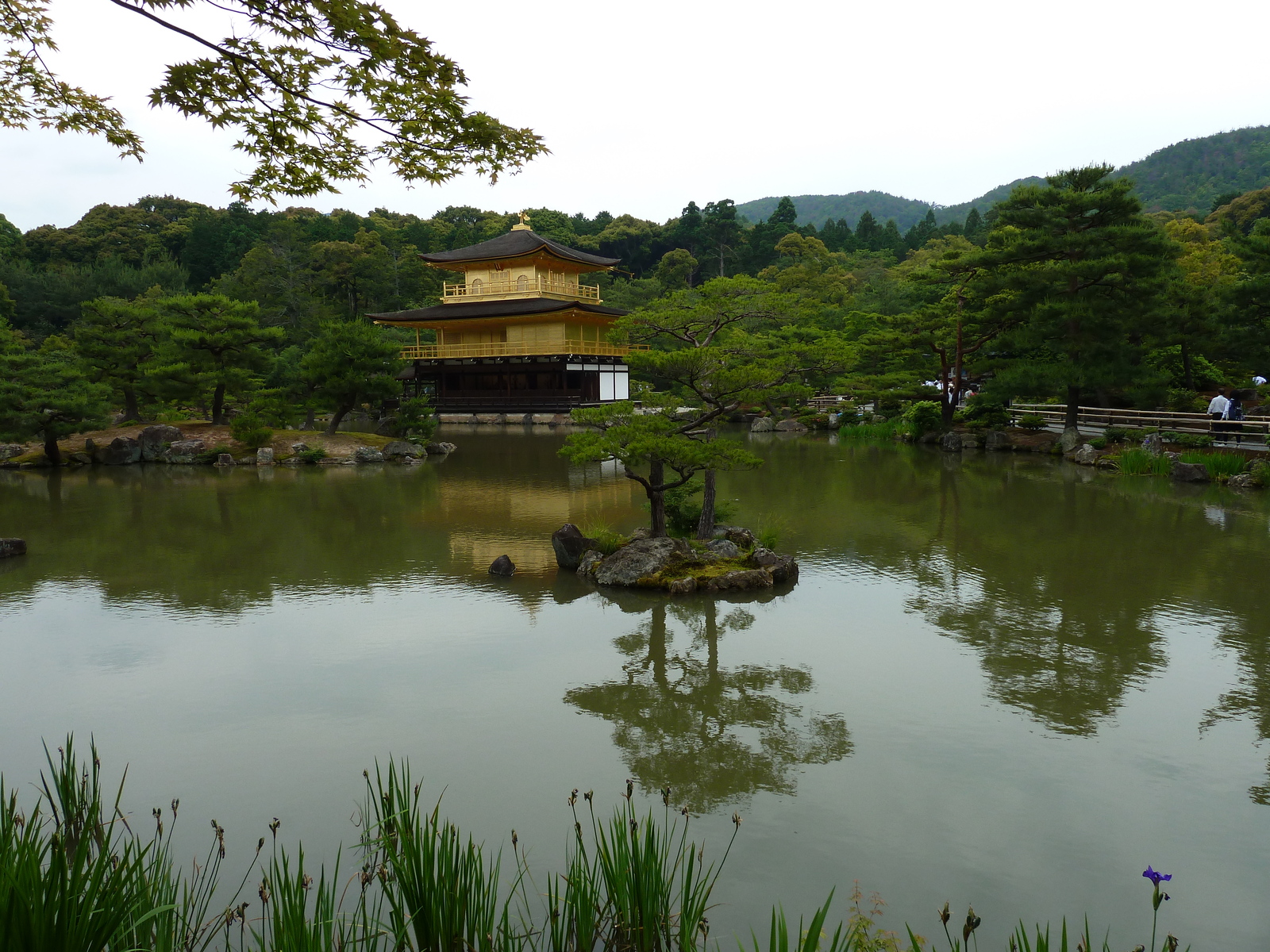 Picture Japan Kyoto Kinkakuji Temple(Golden Pavilion) 2010-06 72 - Picture Kinkakuji Temple(Golden Pavilion)