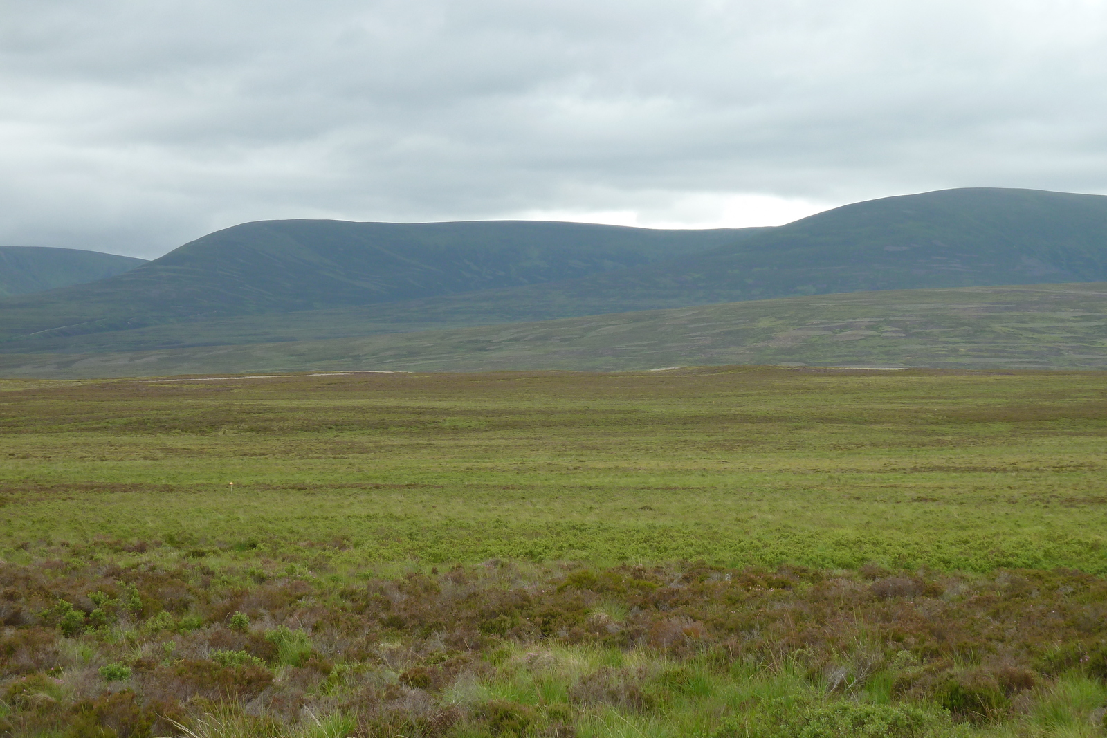 Picture United Kingdom Scotland Forres to Aviemore road 2011-07 1 - View Forres to Aviemore road