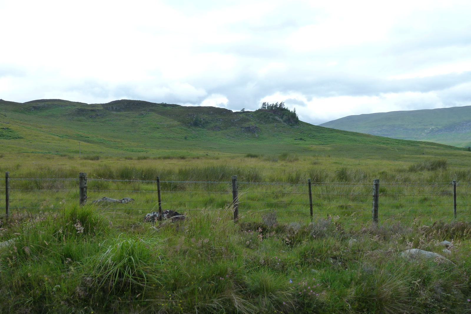 Picture United Kingdom Scotland Forres to Aviemore road 2011-07 5 - View Forres to Aviemore road