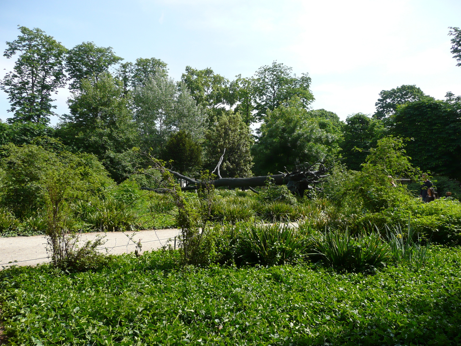 Picture France Paris Garden of Tuileries 2007-05 10 - Sight Garden of Tuileries