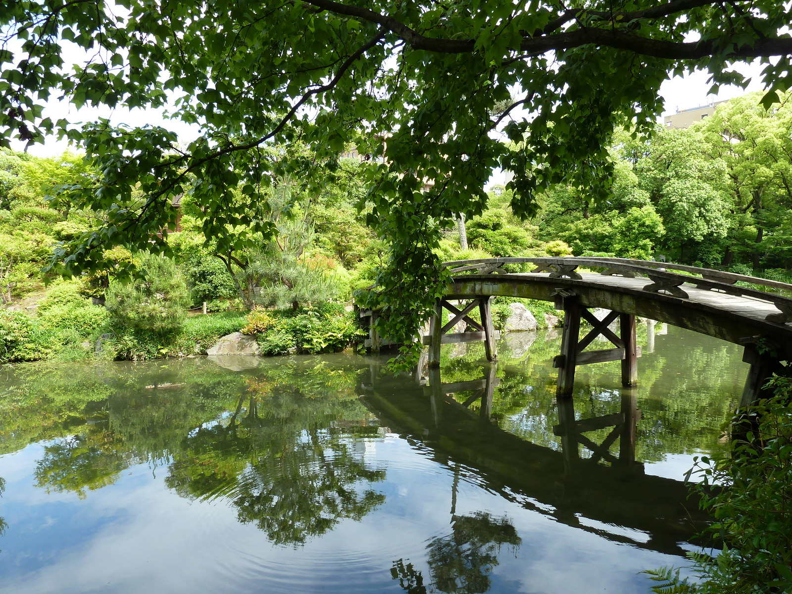 Picture Japan Kyoto Shosei en Garden 2010-06 80 - Picture Shosei en Garden