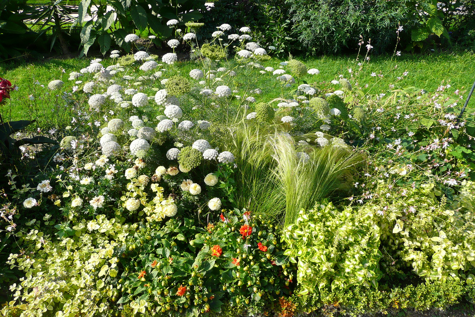 Picture France Paris Jardin des Plantes 2007-08 38 - Road Jardin des Plantes