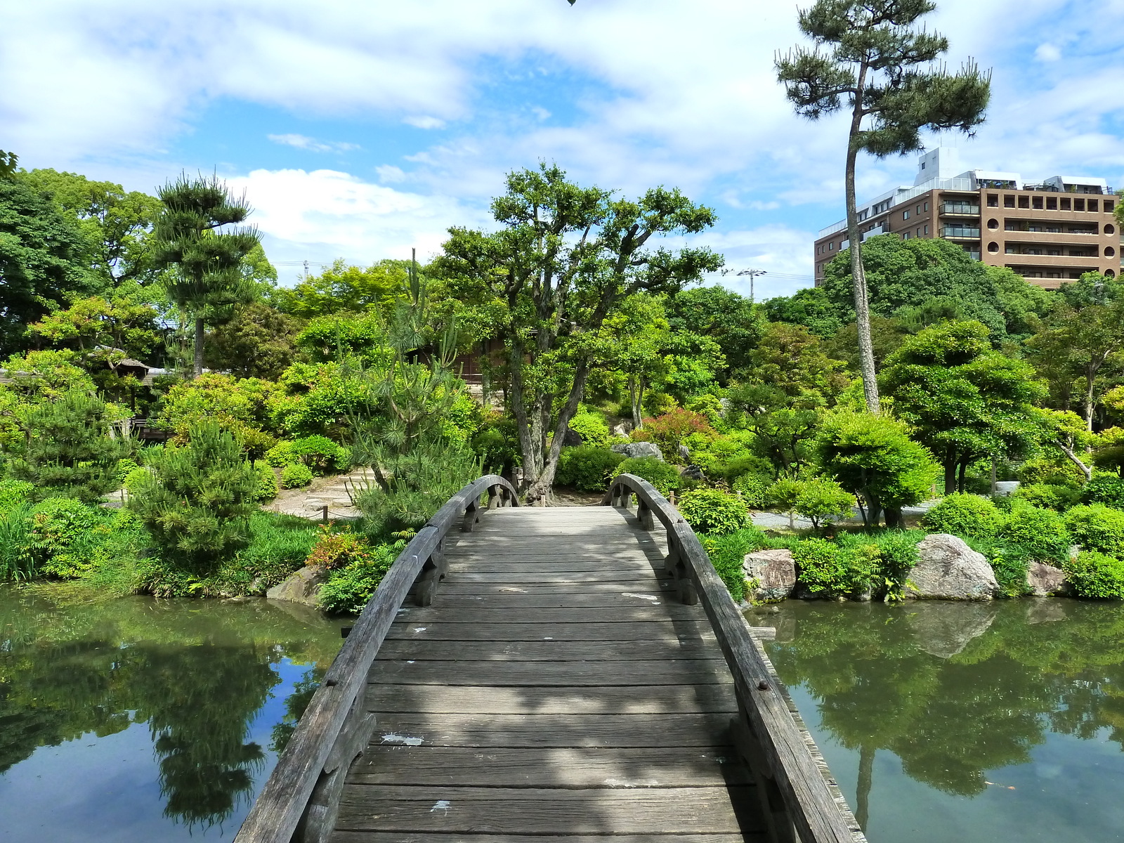 Picture Japan Kyoto Shosei en Garden 2010-06 67 - Flight Shosei en Garden