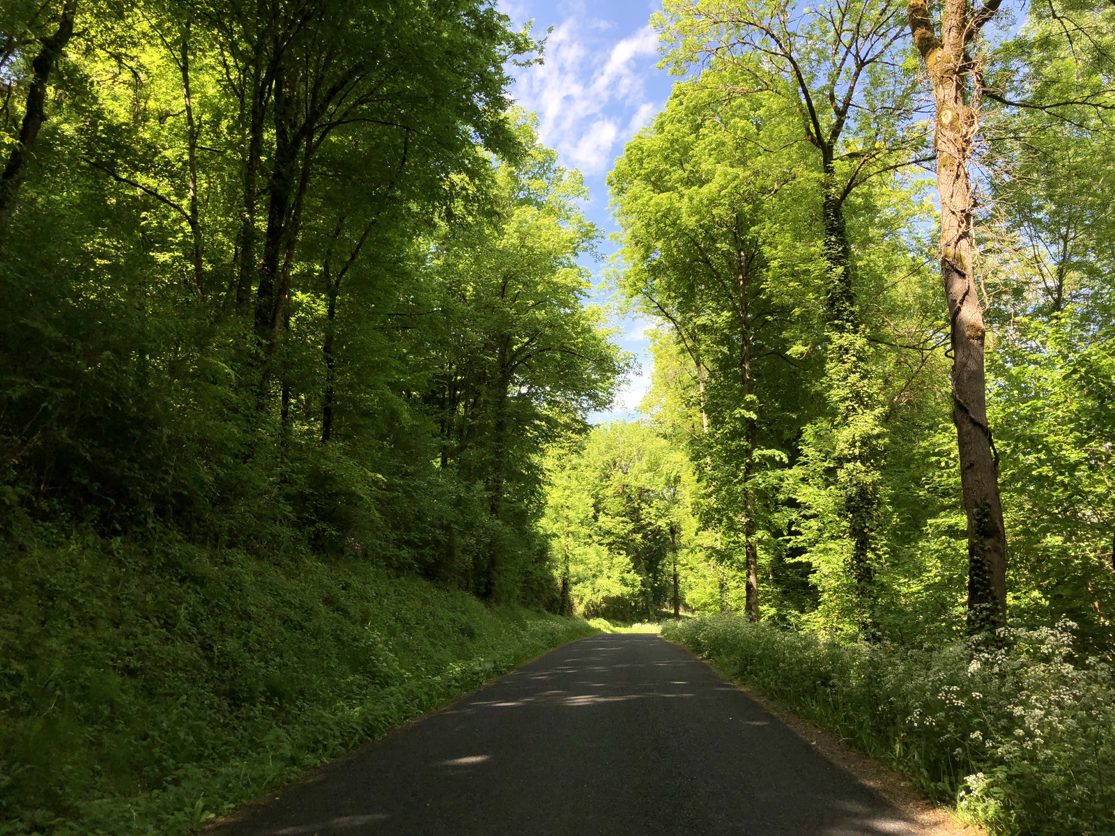 Picture France Floirac 2018-04 113 - Perspective Floirac