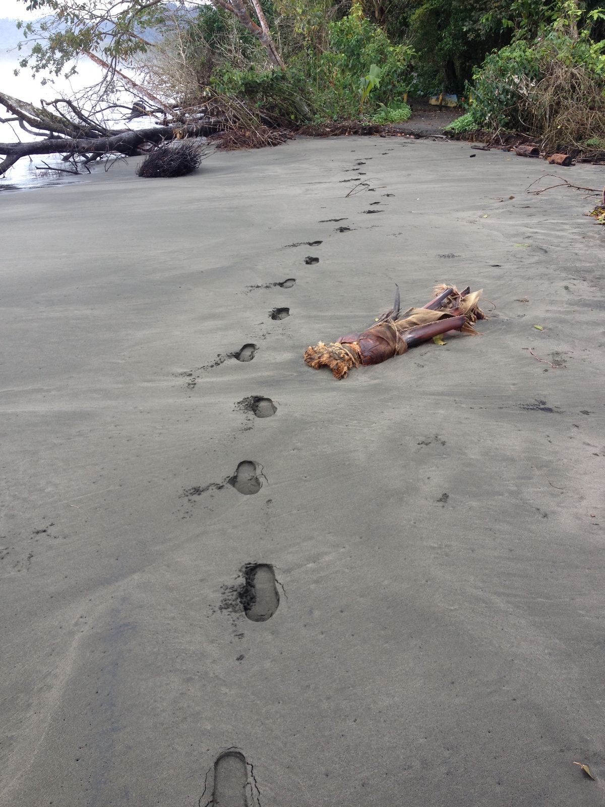 Picture Costa Rica Cahuita 2015-03 174 - Photos Cahuita