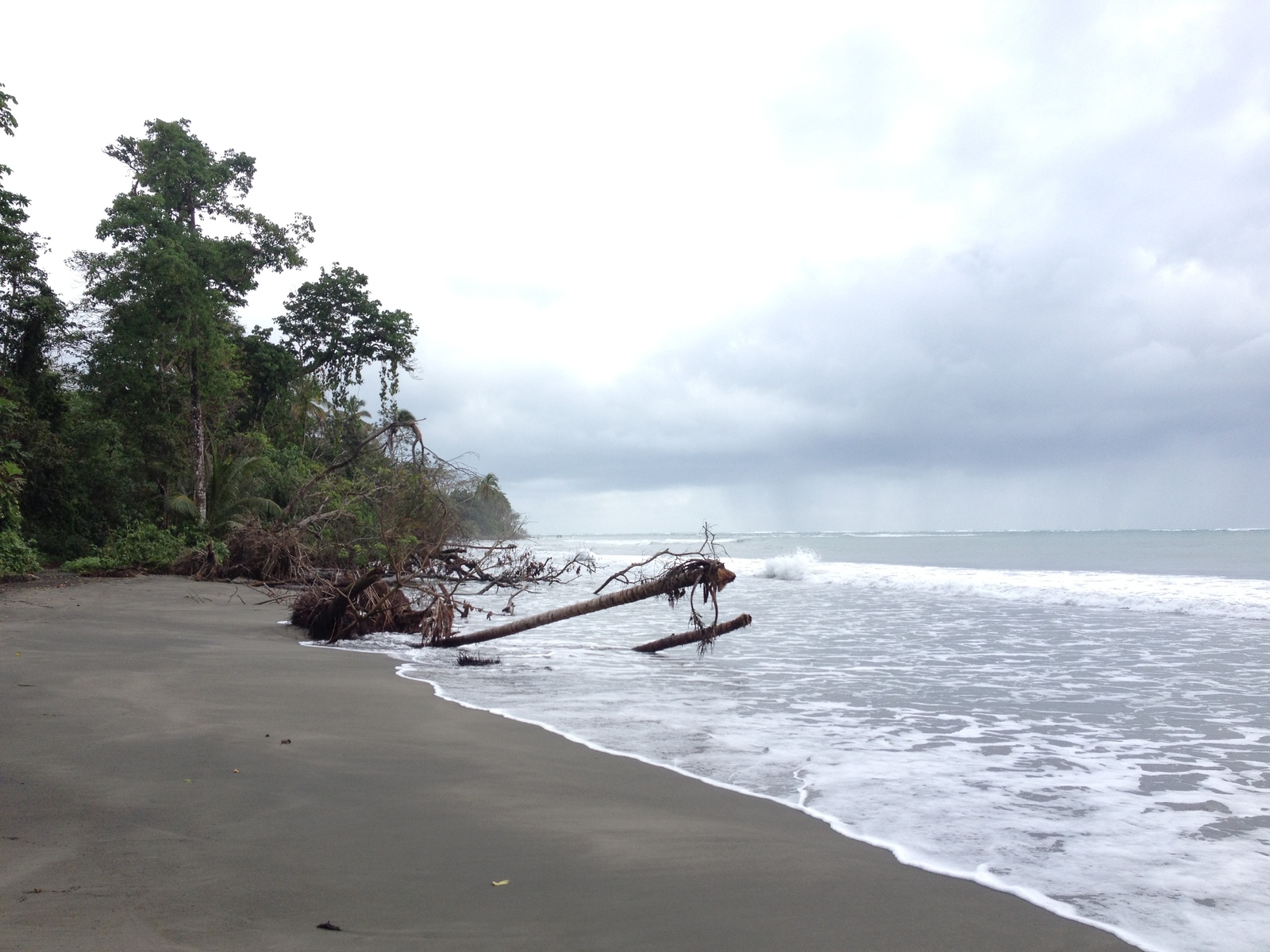 Picture Costa Rica Cahuita 2015-03 171 - Views Cahuita