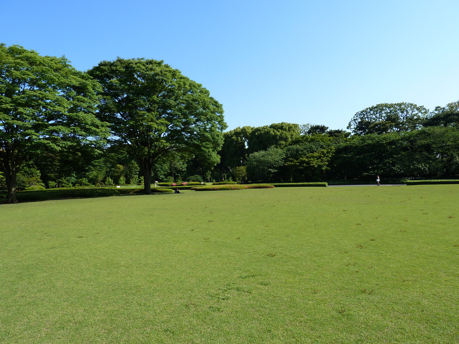 Picture Japan Tokyo Imperial Palace 2010-06 70 - Flights Imperial Palace