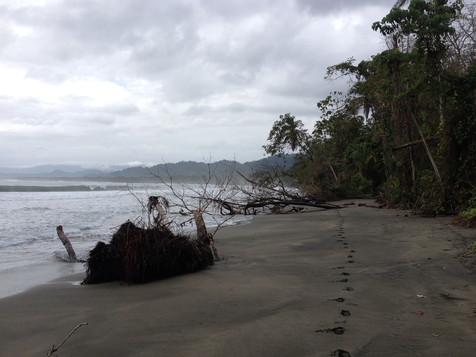 Picture Costa Rica Cahuita 2015-03 146 - Visit Cahuita