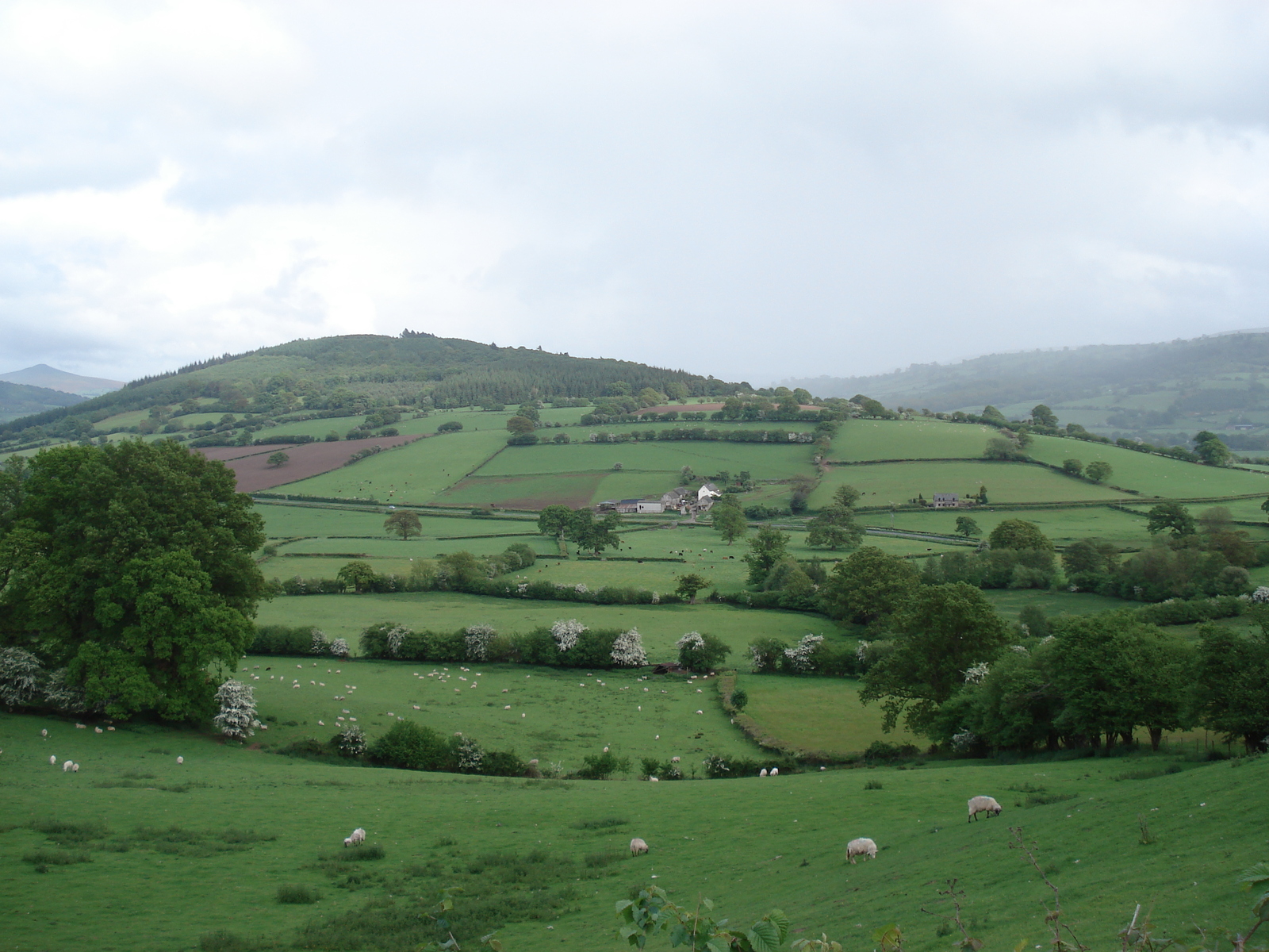 Picture United Kingdom Brecon Beacons National Parc 2006-05 72 - Perspective Brecon Beacons National Parc