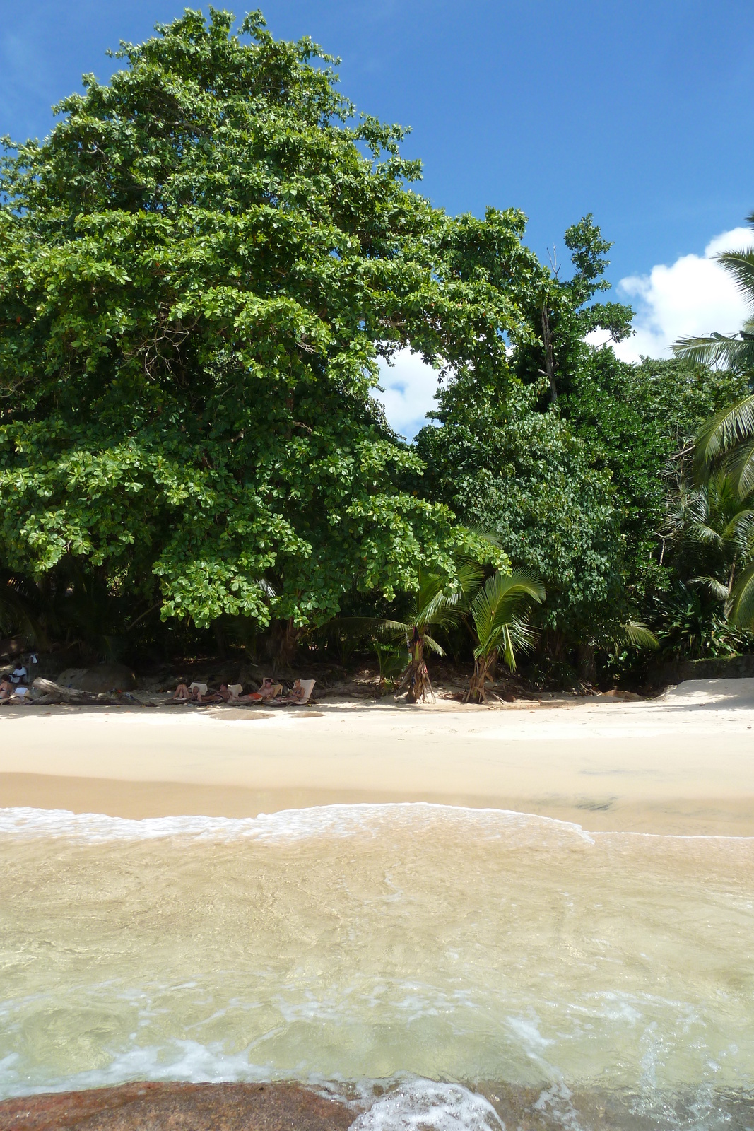 Picture Seychelles Mahe 2011-10 197 - Road Mahe