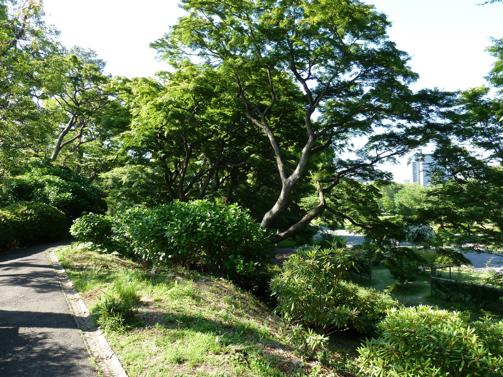 Picture Japan Tokyo Imperial Palace 2010-06 8 - Road Map Imperial Palace