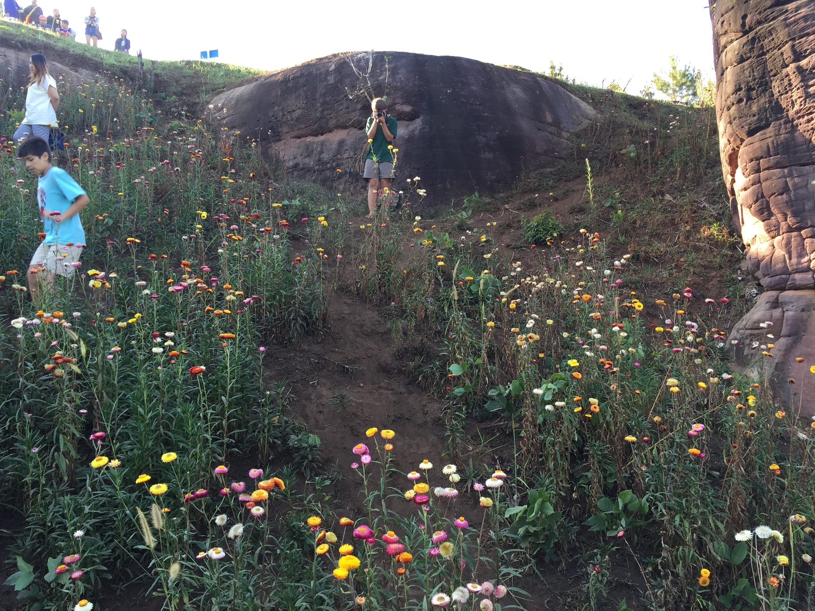 Picture Thailand Phu Hin Rong Kla National Park 2014-12 306 - Photos Phu Hin Rong Kla National Park