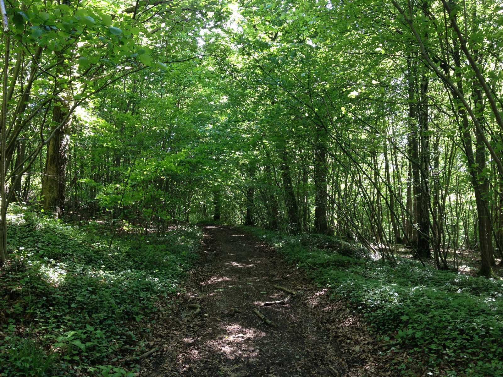 Picture France Lyons La Forêt 2014-05 115 - Tourist Places Lyons La Forêt