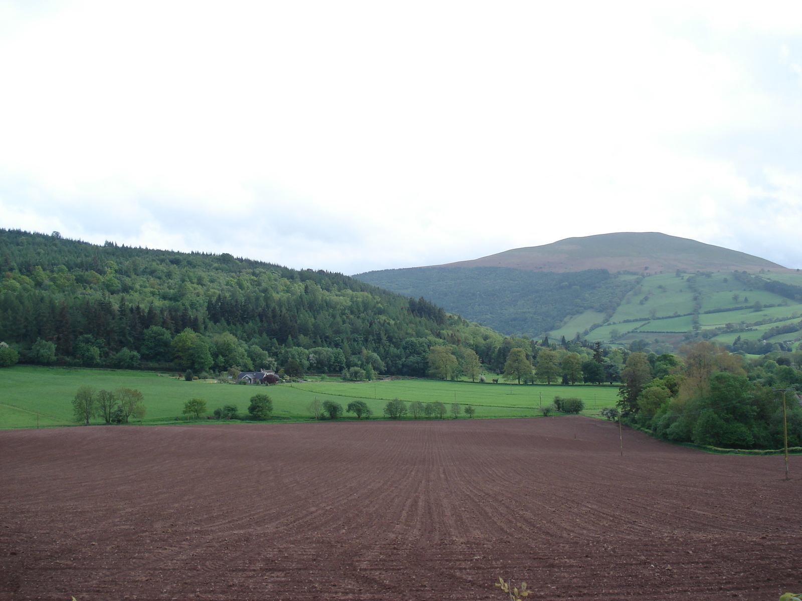 Picture United Kingdom Brecon Beacons National Parc 2006-05 11 - Randonee Brecon Beacons National Parc