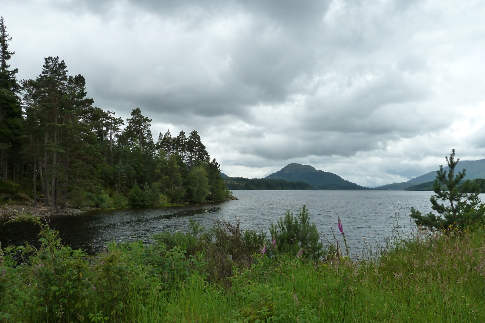 Picture United Kingdom Scotland Aviemore to Loch Laggan road 2011-07 15 - Randonee Aviemore to Loch Laggan road