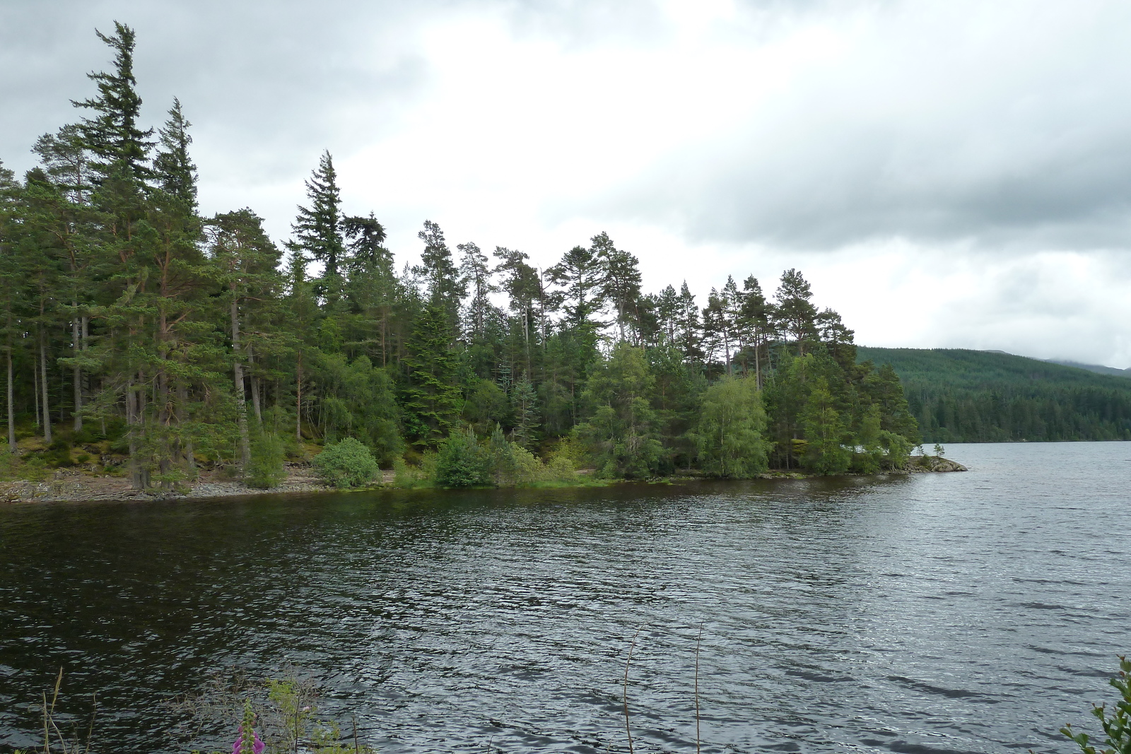 Picture United Kingdom Scotland Aviemore to Loch Laggan road 2011-07 14 - Trail Aviemore to Loch Laggan road