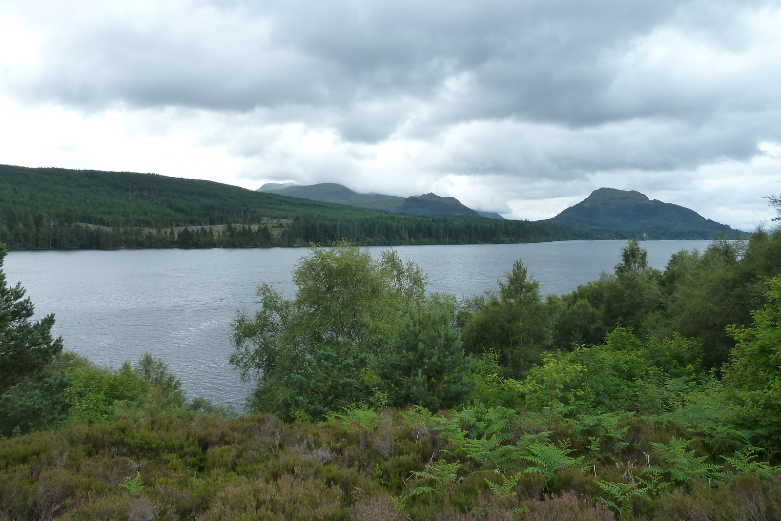 Picture United Kingdom Scotland Aviemore to Loch Laggan road 2011-07 18 - Pictures Aviemore to Loch Laggan road