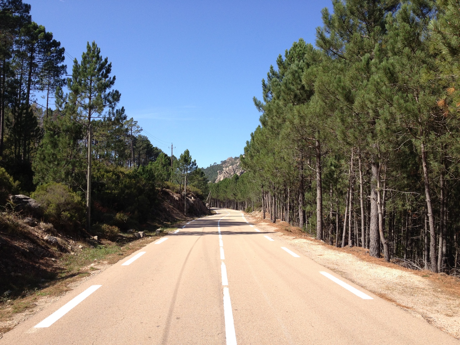 Picture France Corsica L'ospedale Forest 2012-09 61 - Travels L'ospedale Forest