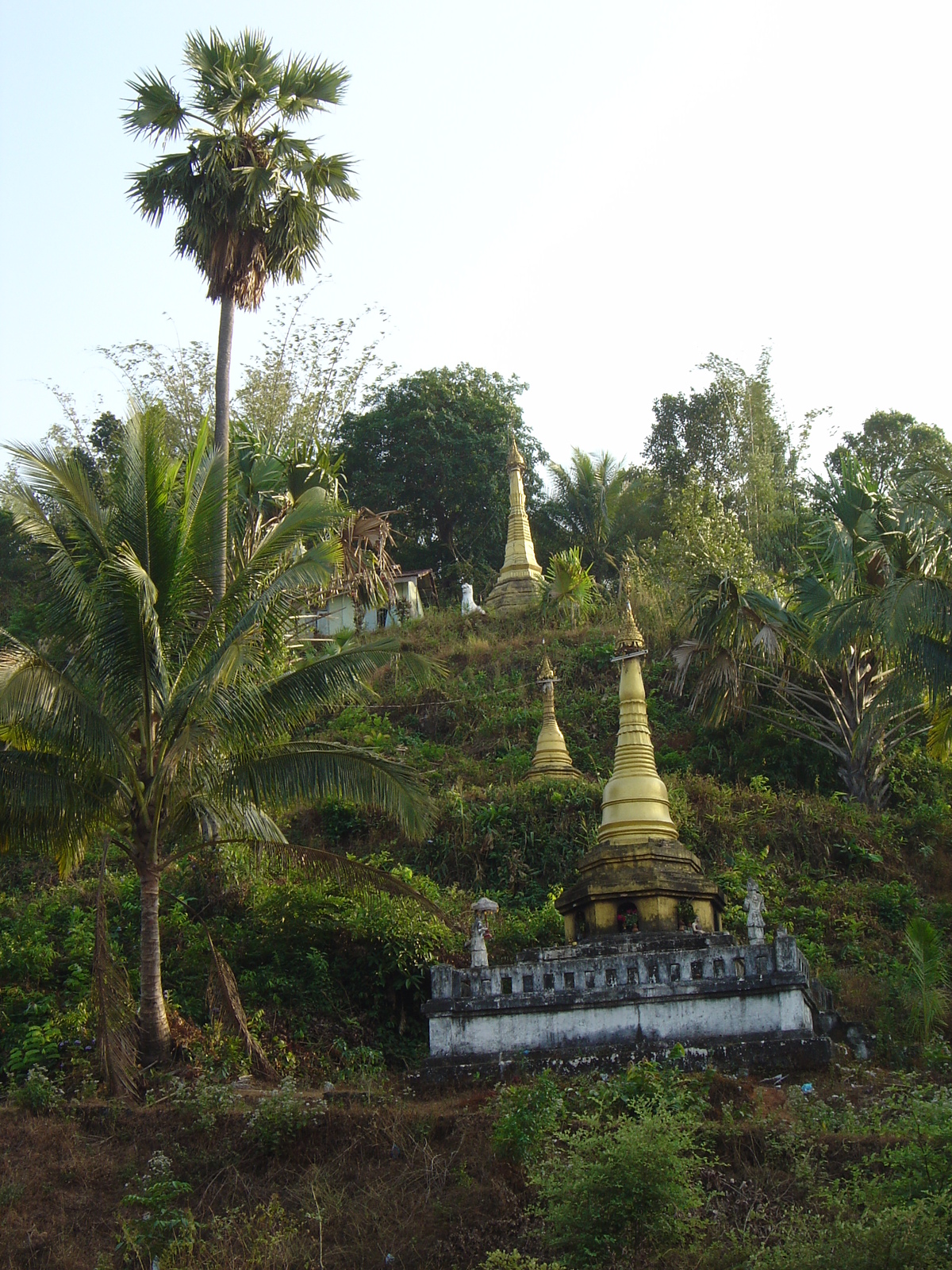 Picture Myanmar Road from Dawei to Maungmagan beach 2005-01 38 - Tourist Places Road from Dawei to Maungmagan beach