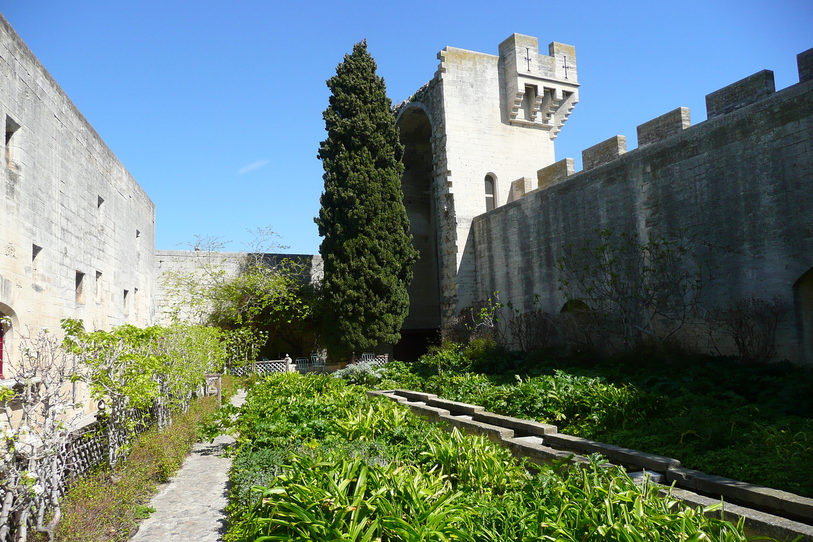 Picture France Tarascon Tarascon Castle 2008-04 170 - Perspective Tarascon Castle