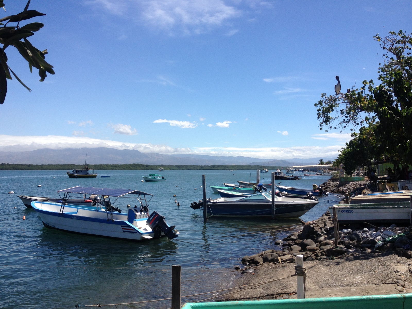 Picture Costa Rica Puntaneras 2015-03 174 - Visit Puntaneras