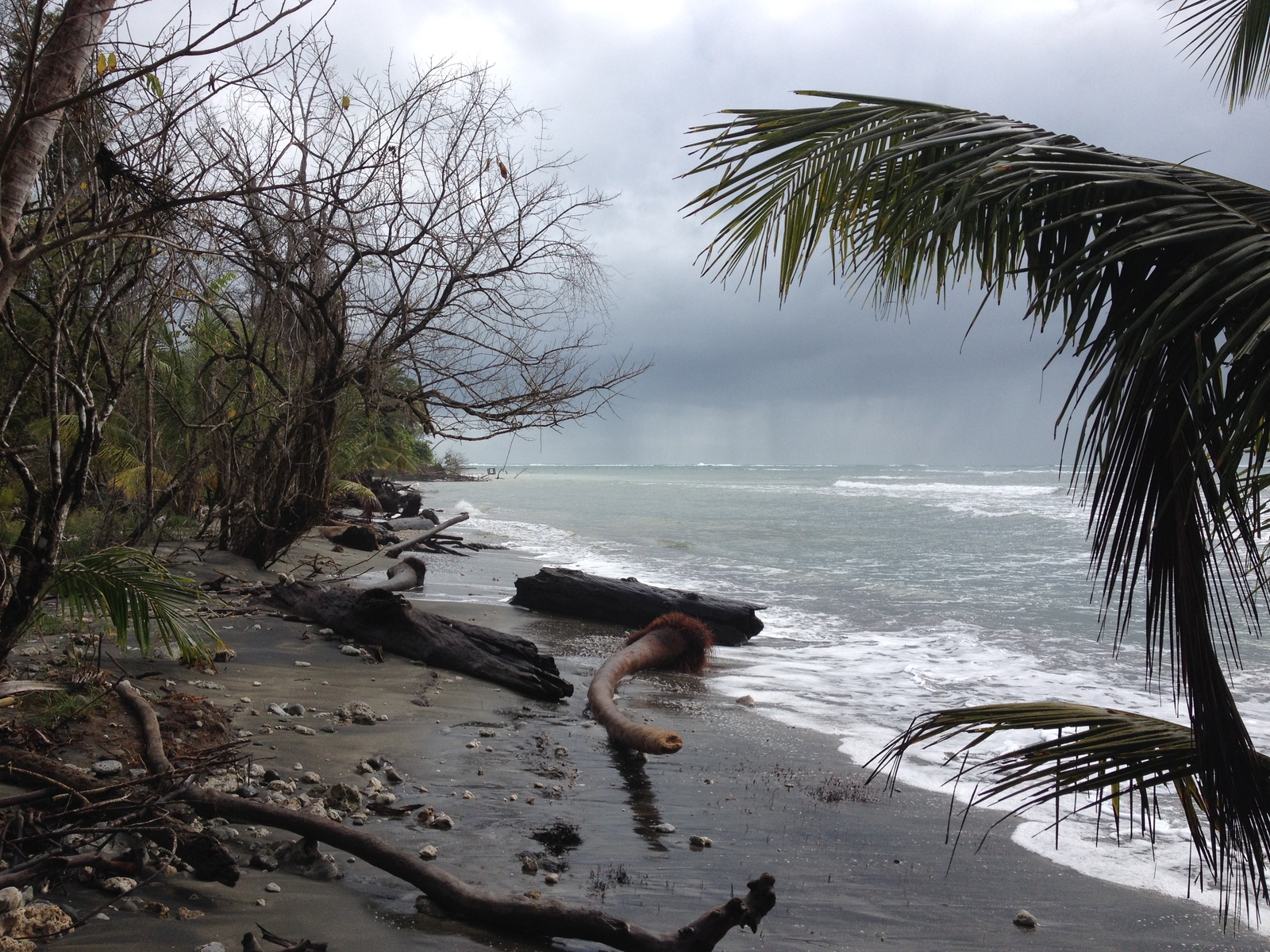 Picture Costa Rica Cahuita 2015-03 143 - Discover Cahuita