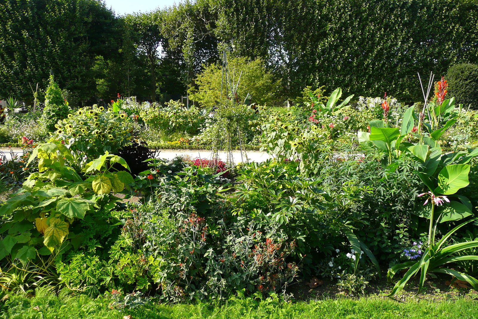 Picture France Paris Jardin des Plantes 2007-08 8 - Sightseeing Jardin des Plantes