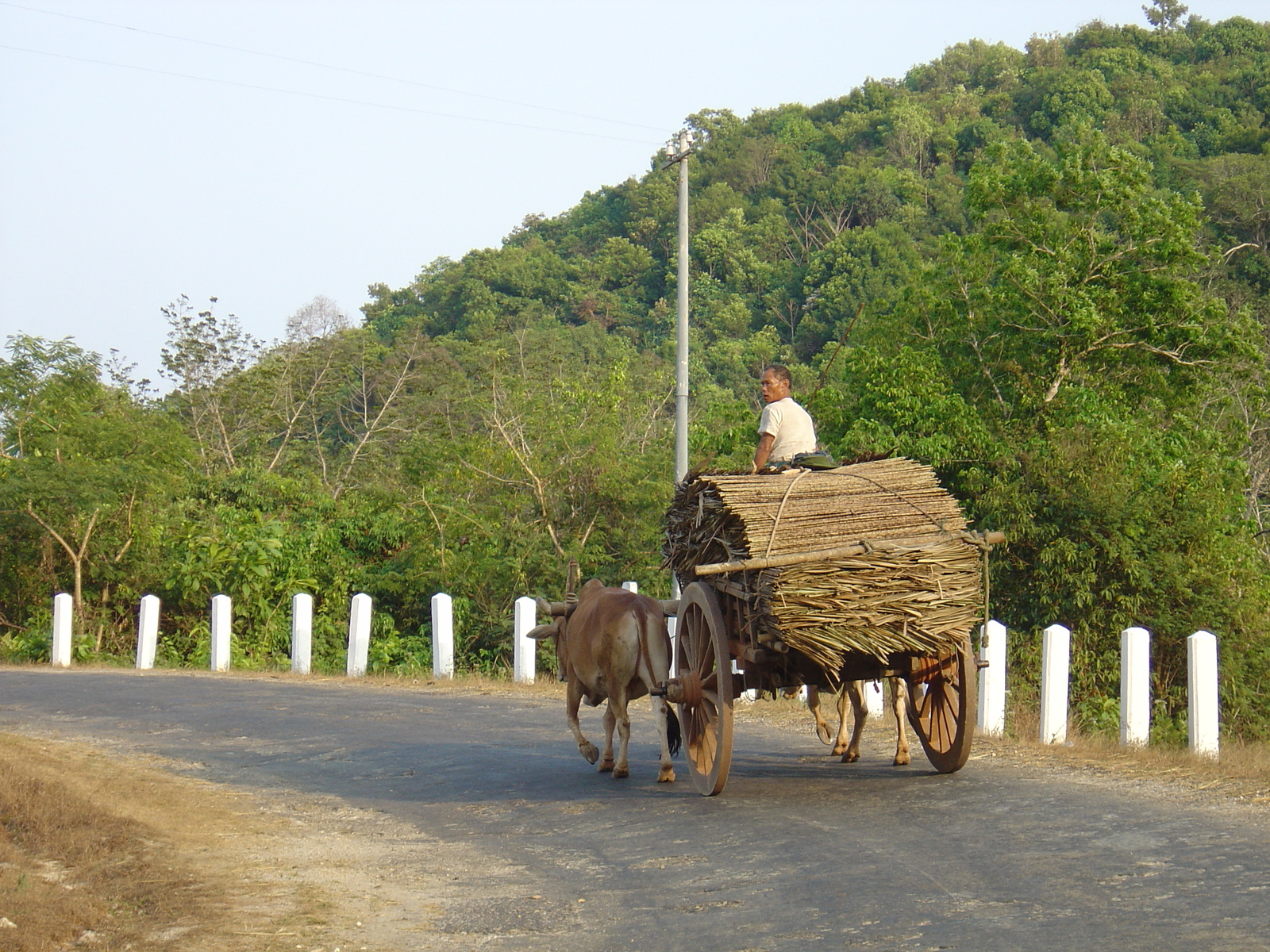 Picture Myanmar Road from Dawei to Maungmagan beach 2005-01 36 - Perspective Road from Dawei to Maungmagan beach