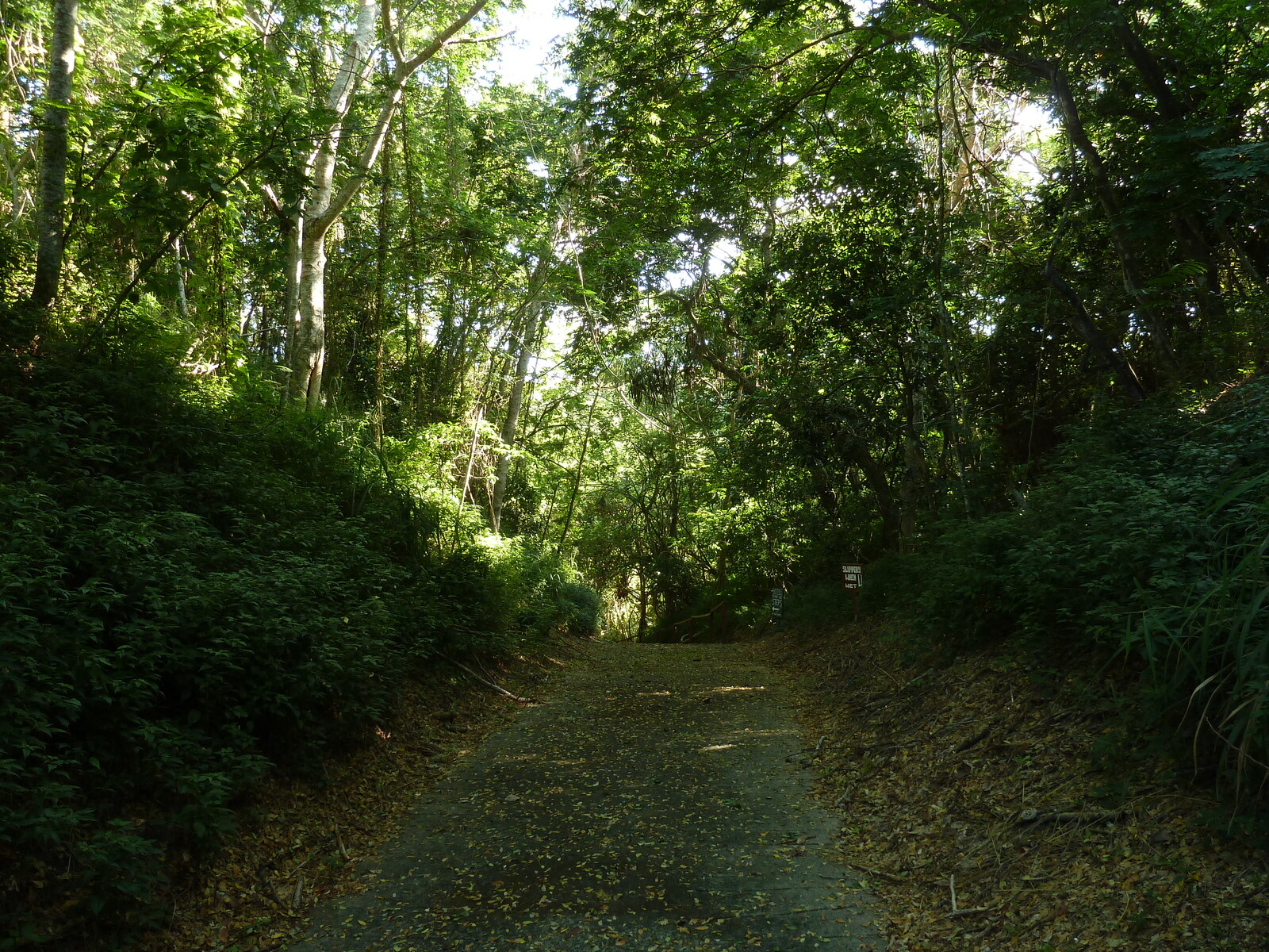 Picture Fiji Sigatoka sand dunes national park 2010-05 9 - Road Sigatoka sand dunes national park