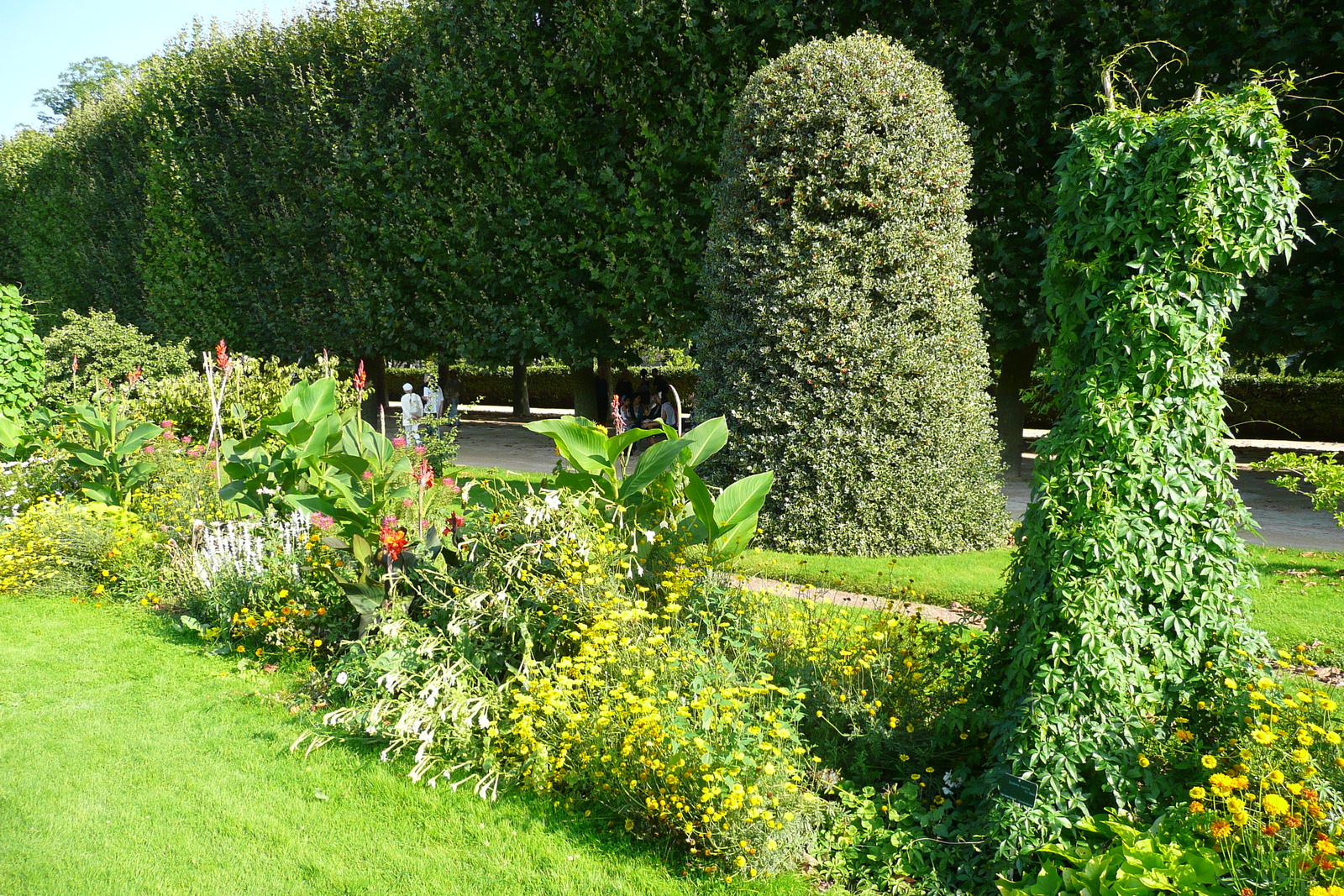 Picture France Paris Jardin des Plantes 2007-08 4 - Perspective Jardin des Plantes