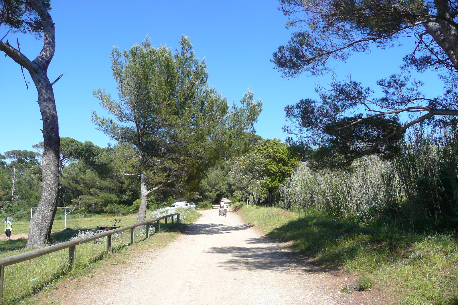 Picture France Porquerolles Island Plaine de la courtade 2008-05 3 - Road Plaine de la courtade