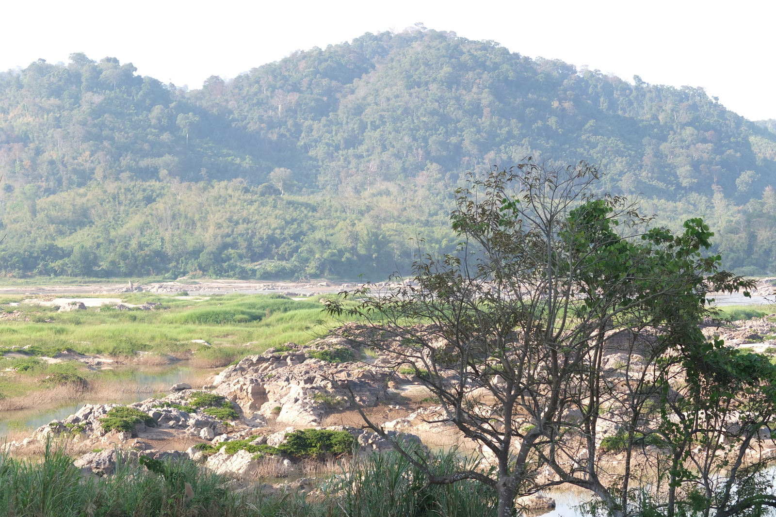 Picture Thailand Mekong river 2012-12 233 - Sightseeing Mekong river