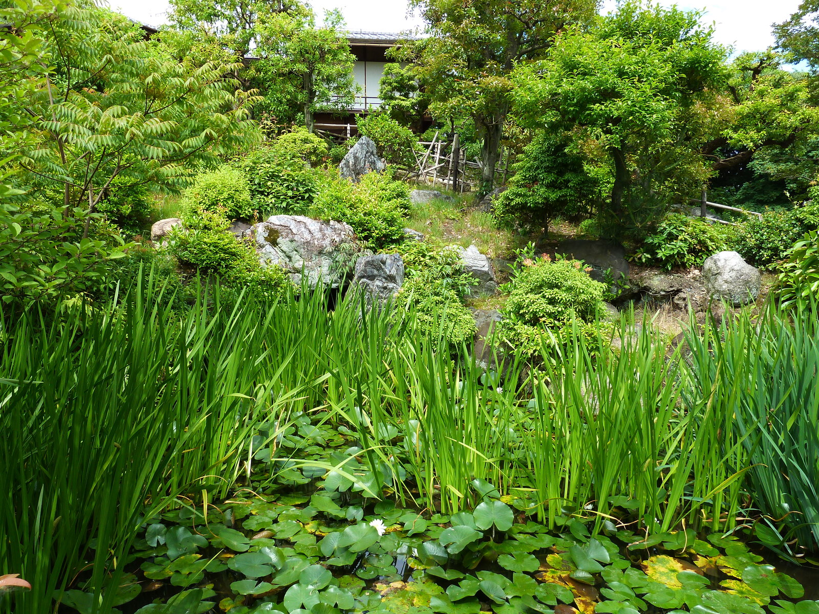 Picture Japan Kyoto Shosei en Garden 2010-06 81 - Sight Shosei en Garden