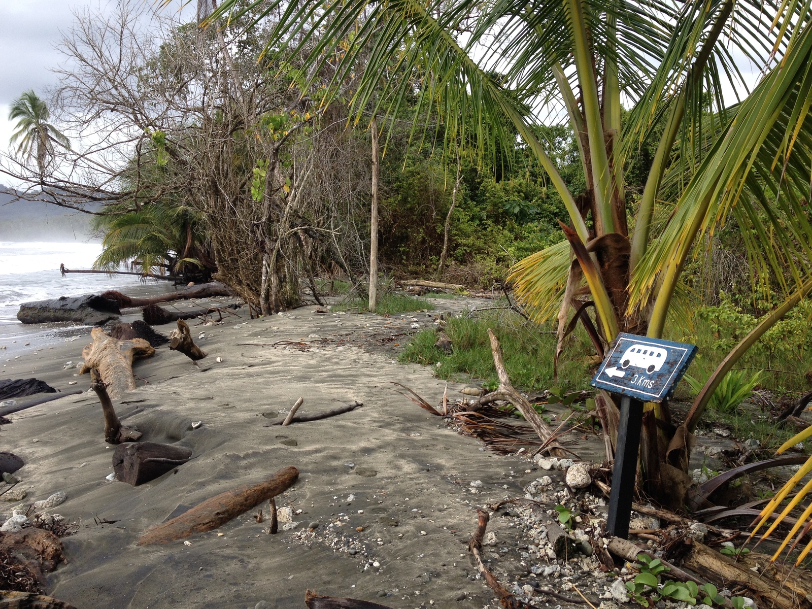 Picture Costa Rica Cahuita 2015-03 160 - Trips Cahuita