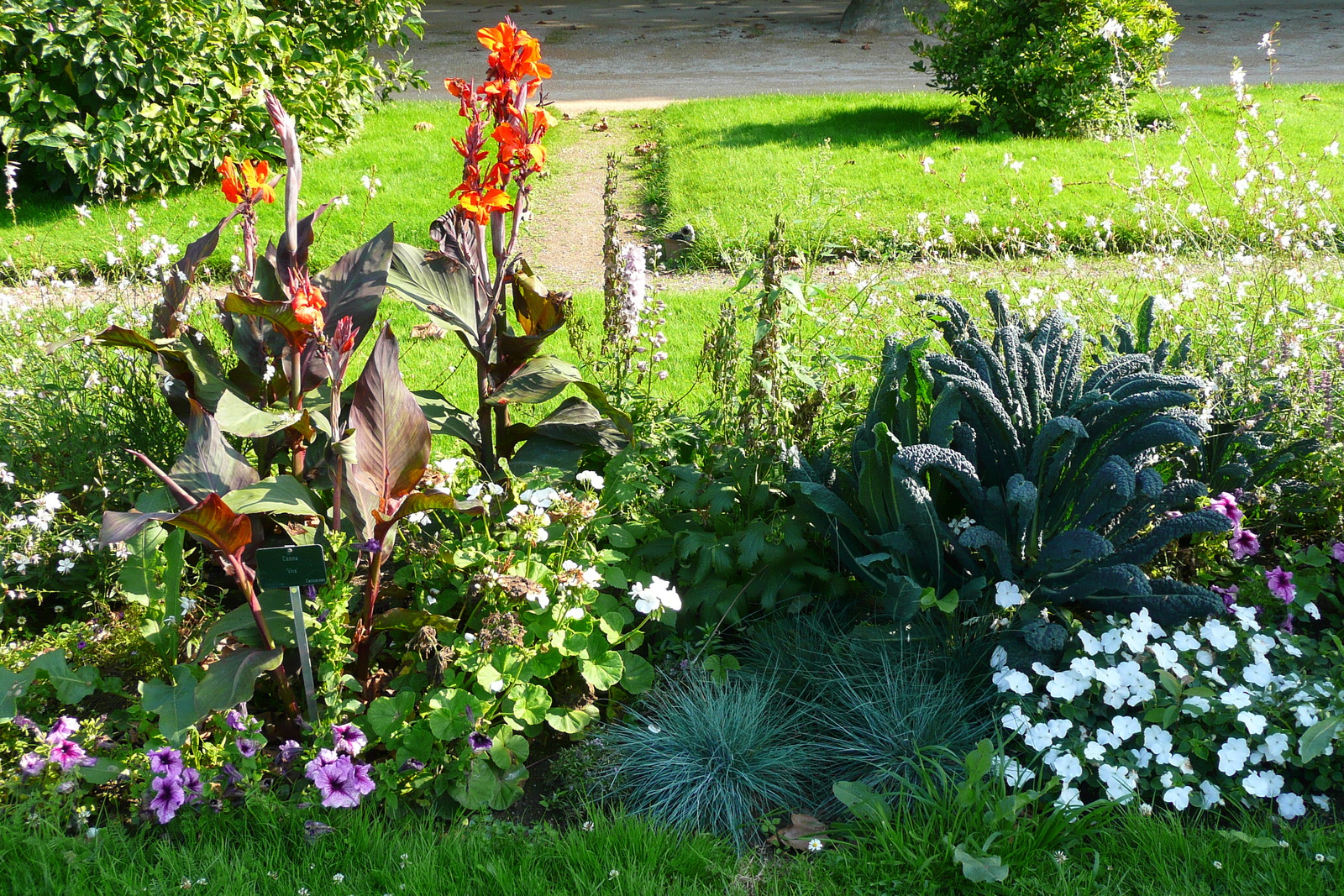 Picture France Paris Jardin des Plantes 2007-08 192 - Picture Jardin des Plantes