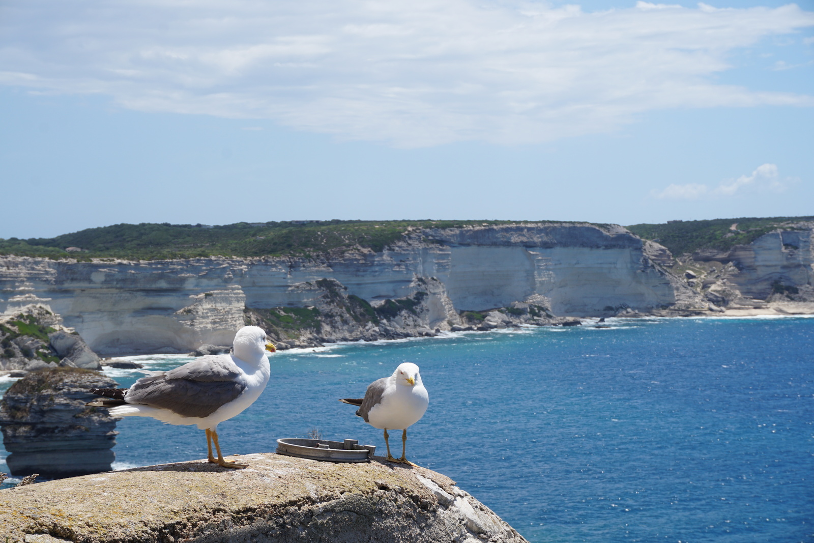 Picture France Corsica Bonifacio 2017-07 53 - Sight Bonifacio