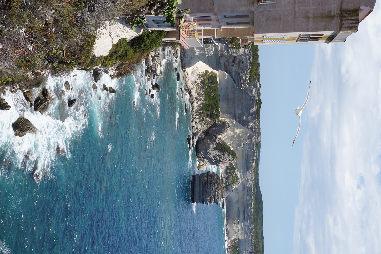 Picture France Corsica Bonifacio 2017-07 11 - Flight Bonifacio